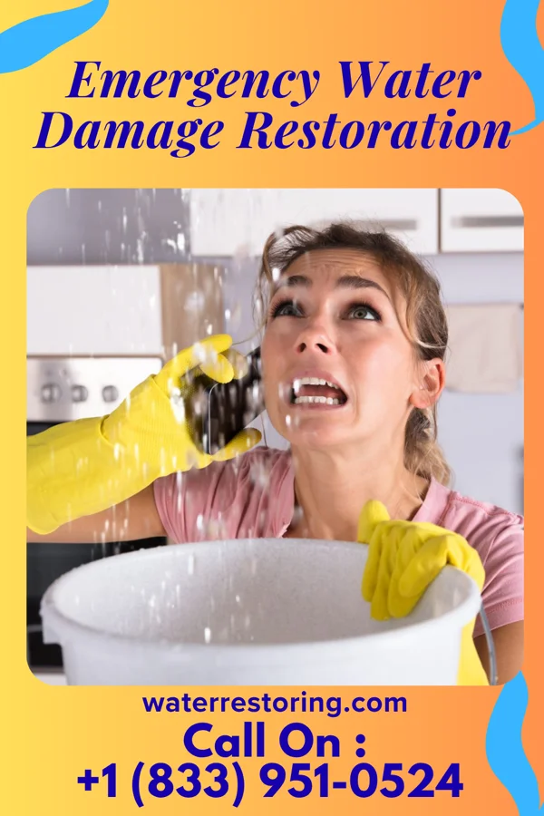 Emergency Water Damage Restoration in Strayhorn, MS