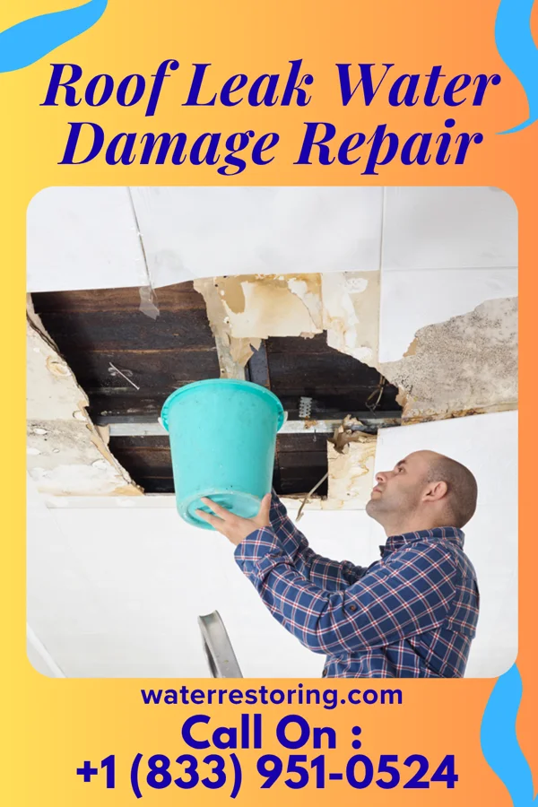 Roof Leak Water Damage Repair in Strayhorn, MS