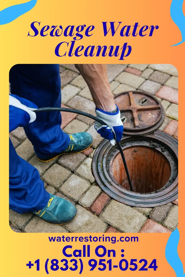 Sewage Water Cleanup in Strayhorn, MS