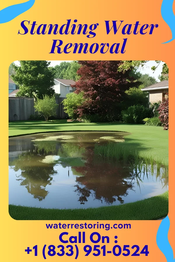 Standing Water Removal in Strayhorn, MS